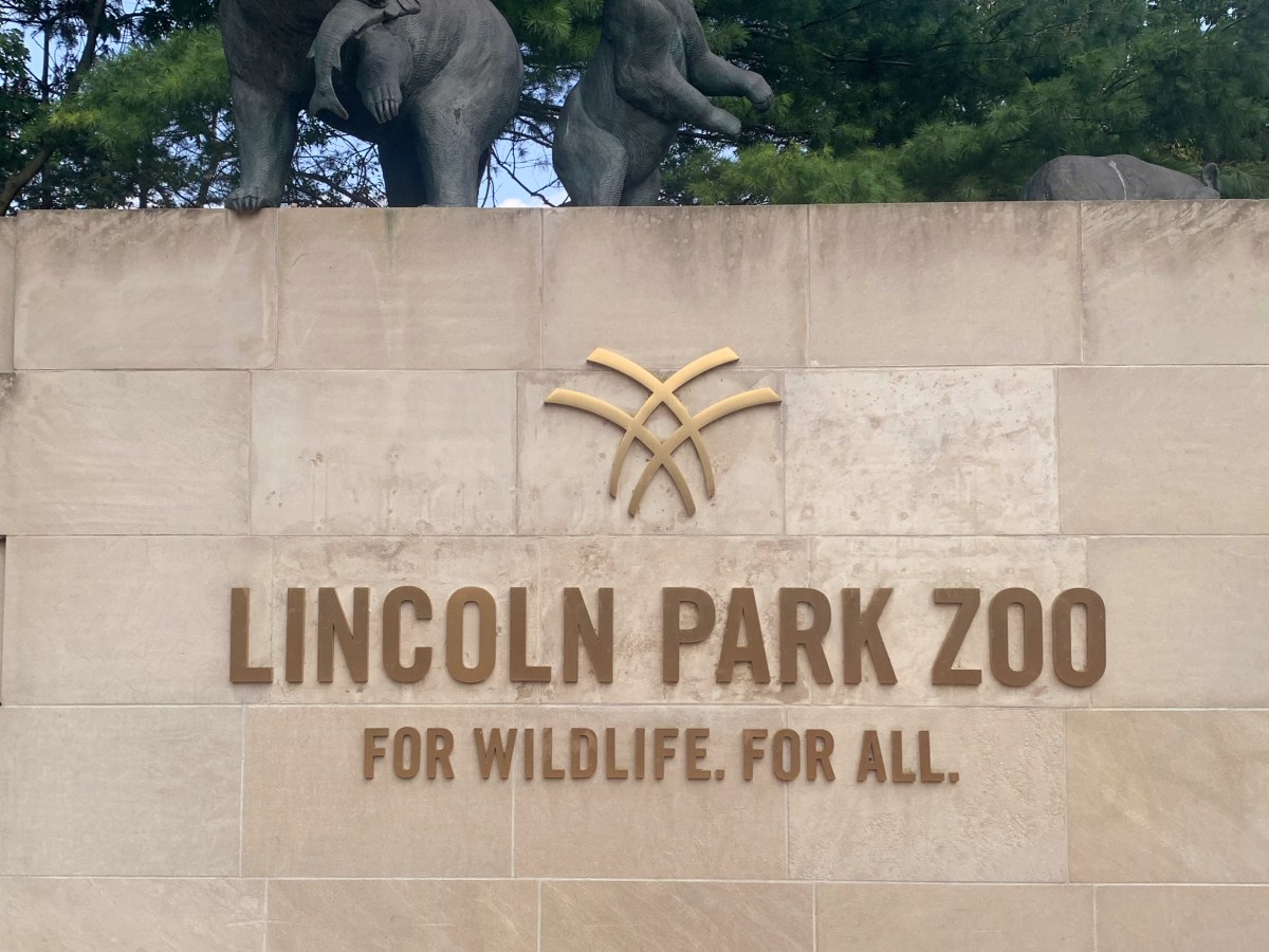 Discover Lincoln Park Zoo: Chicago’s Free Wildlife&nbsp;Haven